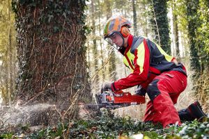 Tradition bewahren, Innovation lehren – mitten im Wallis